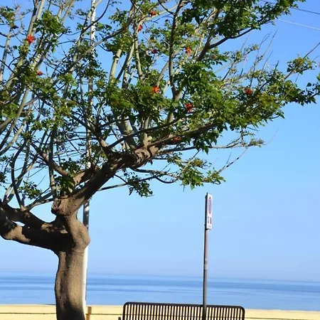 Alojamento de Acomodação e Pequeno-almoço I Tesori Del Mare *