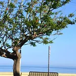 Frühstückspension I Tesori Del Mare 3*